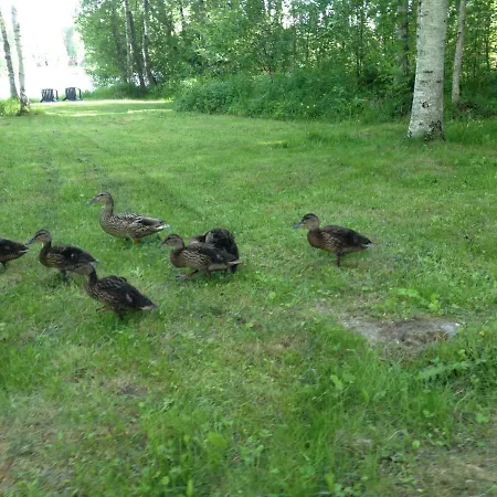 Moekki Etelaeranta Ferienhaus Mikkeli